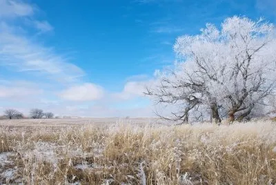 Spring snowfall Wyoming