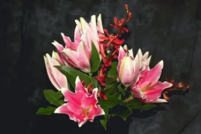 Flors jigsaw puzzle