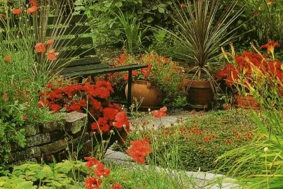 JardÃ­ jigsaw puzzle