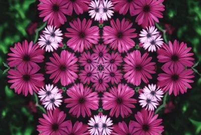 FaraÃ³n jigsaw puzzle