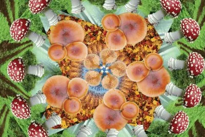 FaraÃ³n jigsaw puzzle
