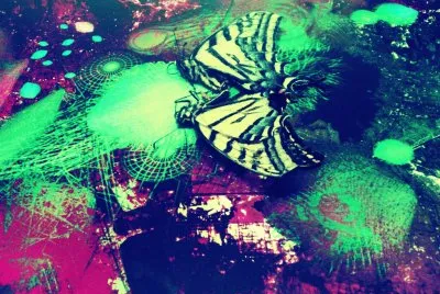 FaraÃ³n jigsaw puzzle