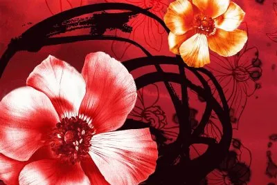 FaraÃ³n jigsaw puzzle