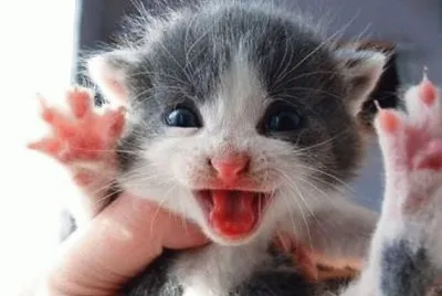 be afraid! be very afraid!