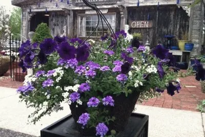 Blumen Gardens-Illinois