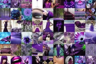 Colllage of Purple Things