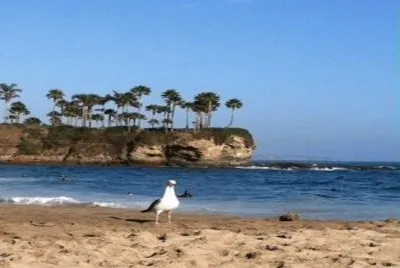 518