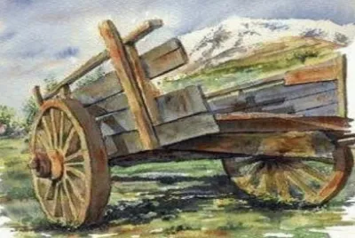 519