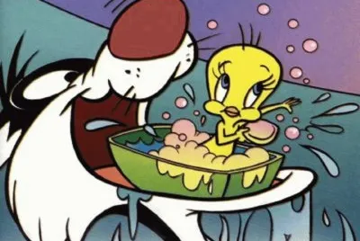 636