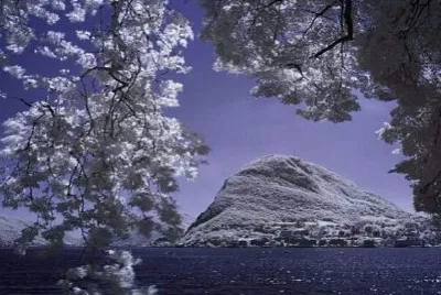 661