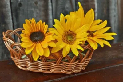 פאזל של Baskets of sunflowers