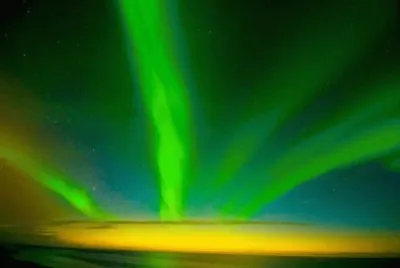 Norway borealis