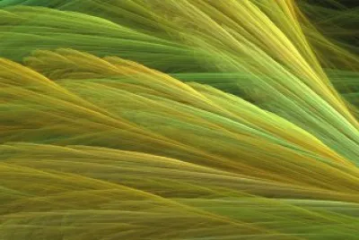 abstract