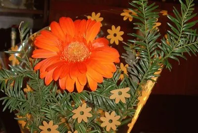 Flor jigsaw puzzle