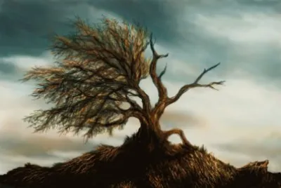 duality of trees