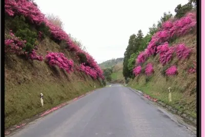 Caminho 1