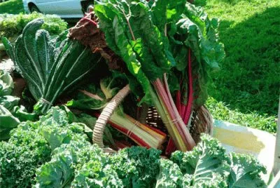 farm fresh