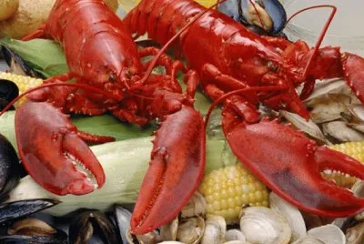 New England clam bake jigsaw puzzle