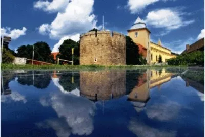 reflection