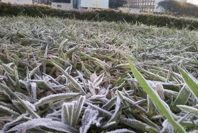 inverno GaÃºcho
