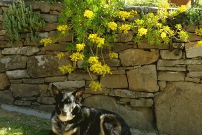 Luki jigsaw puzzle