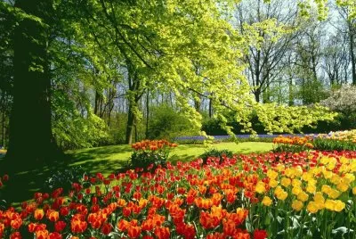 Jardim Cheio de cor