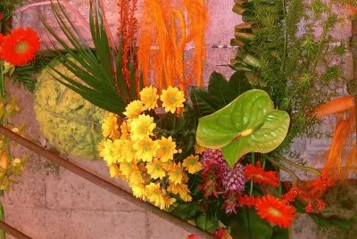 Temps de flors 2011 jigsaw puzzle