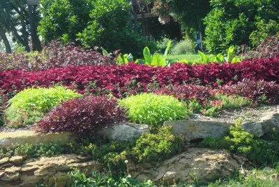 garden jigsaw puzzle