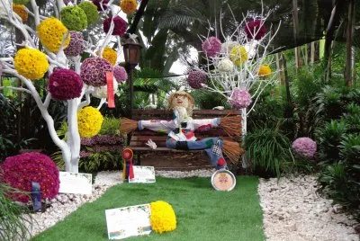 flores