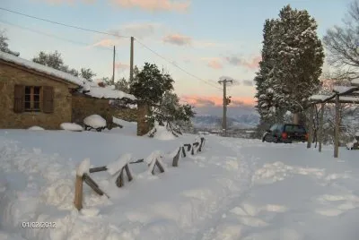 Neve