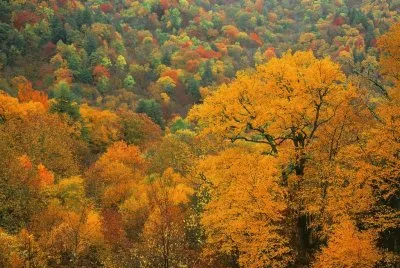 Appalachian autumn
