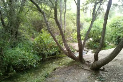 NACIMIENTO RIO VINALOPO