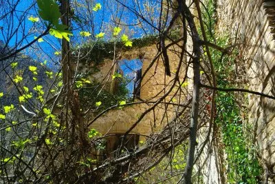 MOLINO EN RUINAS