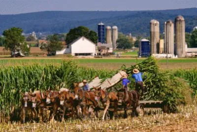 corn harvesting jigsaw puzzle