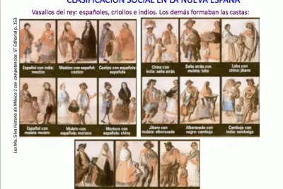 En Nueva EspaÃ±a la divisiÃ³n social era clara