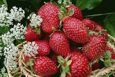 פאזל של frutas