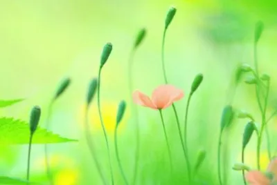 simply beautiful