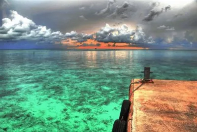 greet the dawn jigsaw puzzle