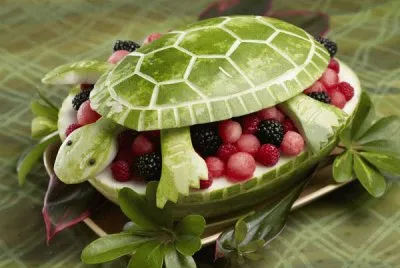 melon as turtle