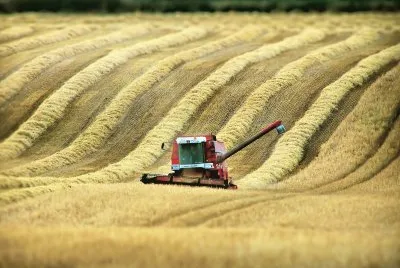 combine harvester