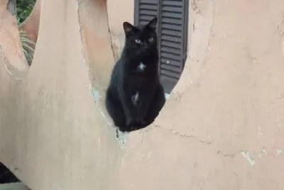 Ivano sul balcone