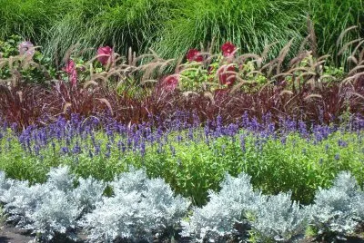 flores