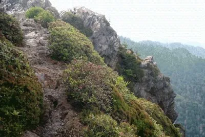 Appalachian Trail