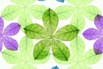 foto jigsaw puzzle
