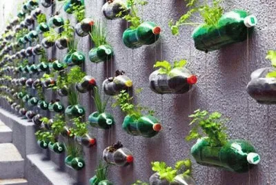 hanging gardens