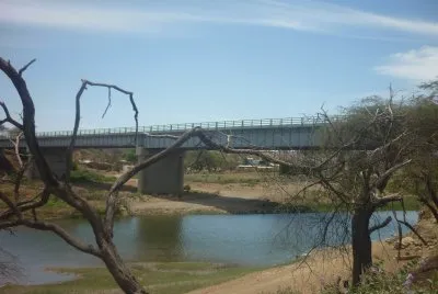 Zapotillo