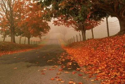 paisagem