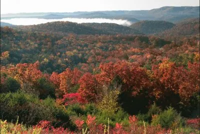 autumn jigsaw puzzle