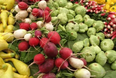 vegetables in season