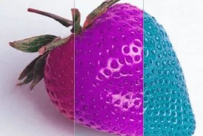 פאזל של fresa multicolor